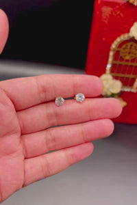 Classic Solitaire Studs (Small) - Rose Gold